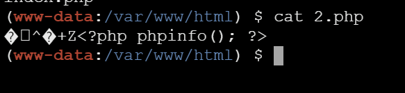 2025-03-10T07:18:30.png